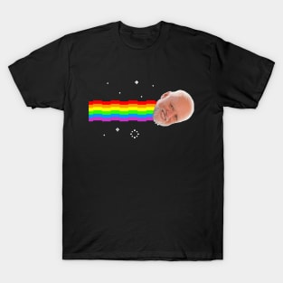 Harold Hide The Pain Nyan Cat Meme T-Shirt